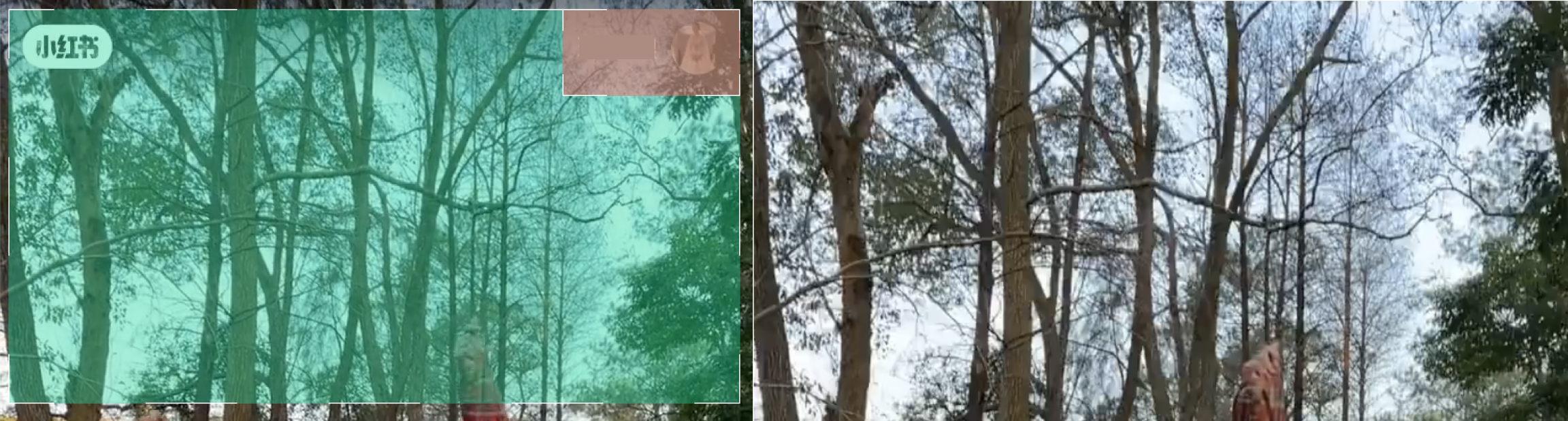 Green box: automatic erasing area (globally recognize and erase common logos in the MPS model library). Red box: added erasing area (profile photo in a fixed position).